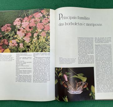 Livro - O Mundo Maravilhoso das Borboletas e Mariposas - Sem faixa etaria - Não informada