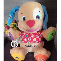 Cachorro Aprendendo A Brincar Fischer Price No Estado Usado -  - Fisher Price