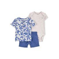 Kit Conjunto Carters - 9 meses - Carter`s