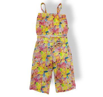 Conjunto Alphabeto - 6 anos - Alphabeto