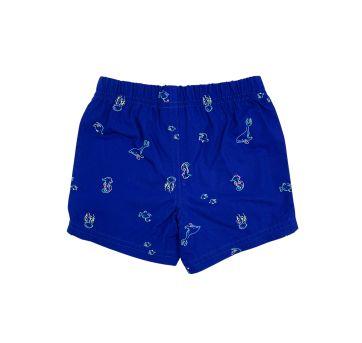 Conjunto verão Carters - 9 meses - Carter`s