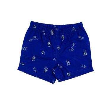 Conjunto verão Carters - 9 meses - Carter`s