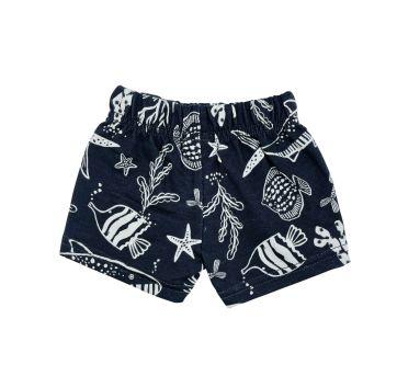 Conjunto Carters - 6 meses - Carter`s