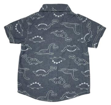 Camisa Carter’s Dino - 18 meses - Carter`s